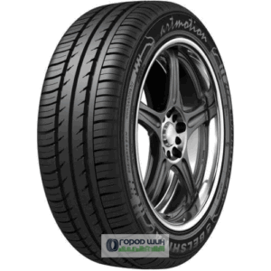 Белшина Бел-262 205/55 R16 91H
