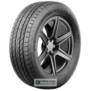Antares Majoris R1 285/35 R22 106W XL